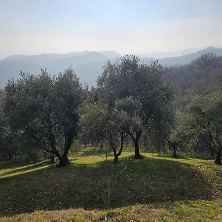 B&B Ca'Baracca Bellavista Bassano del Grappa Eksteriør billede