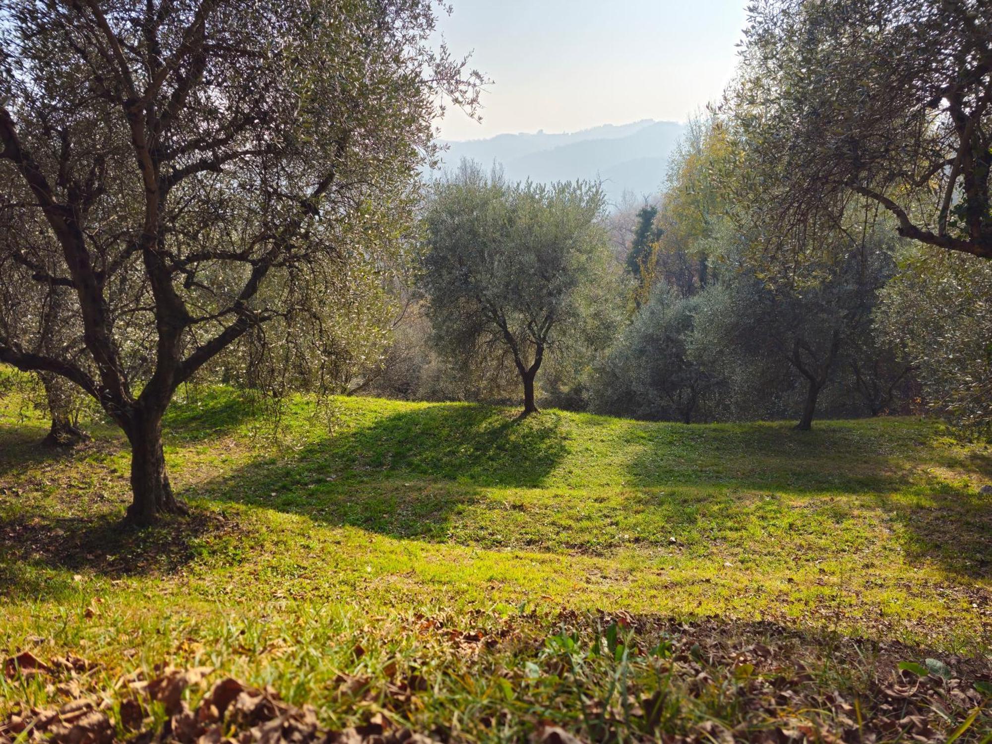 B&B Ca'Baracca Bellavista Bassano del Grappa Eksteriør billede