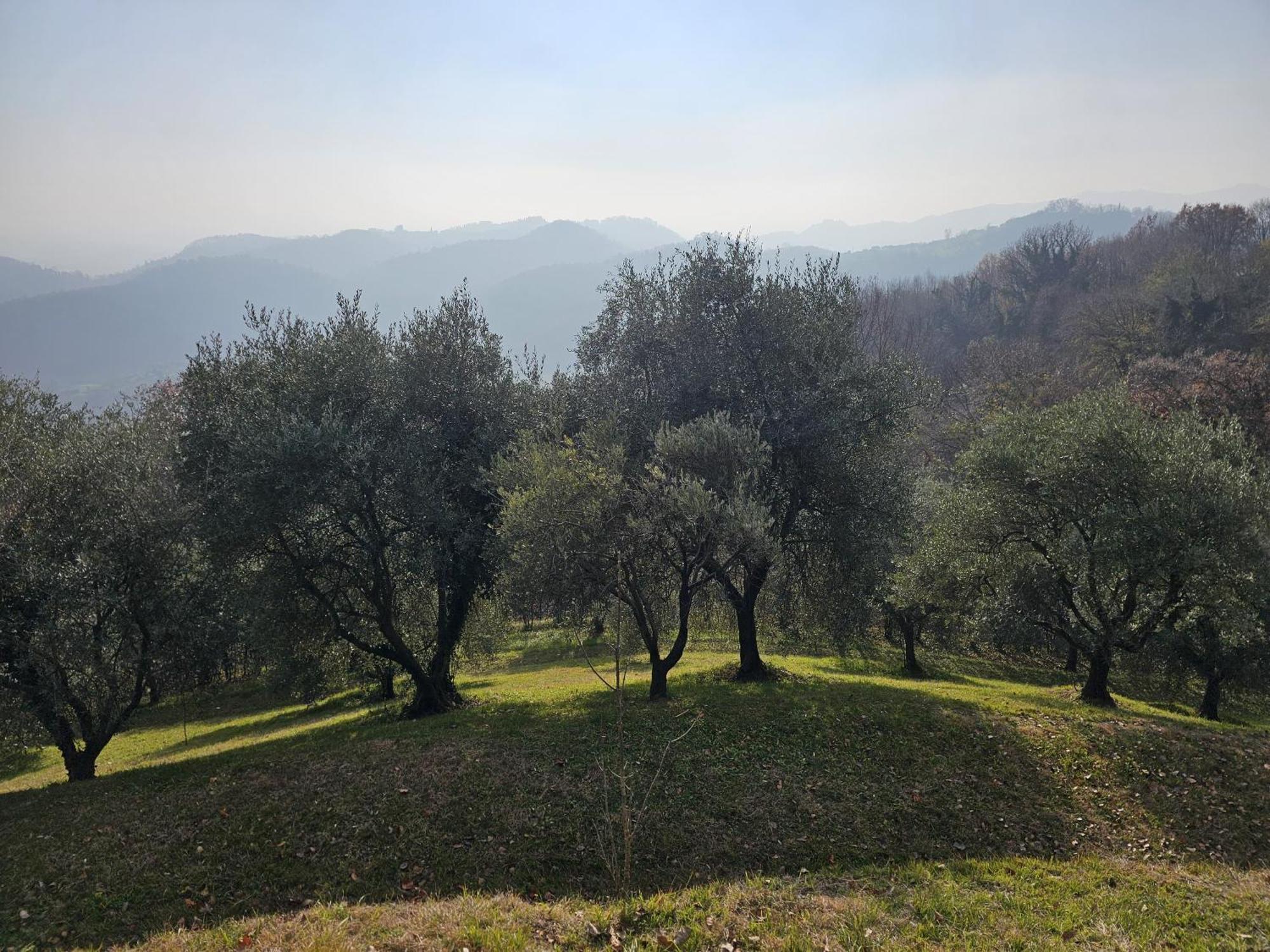 B&B Ca'Baracca Bellavista Bassano del Grappa Eksteriør billede